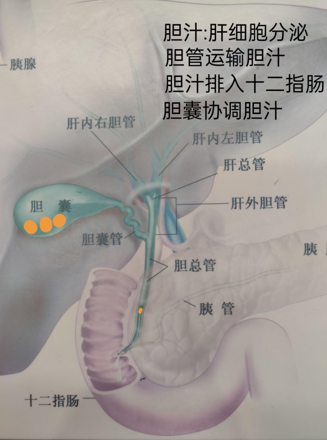 微信截图_20250913173605.png